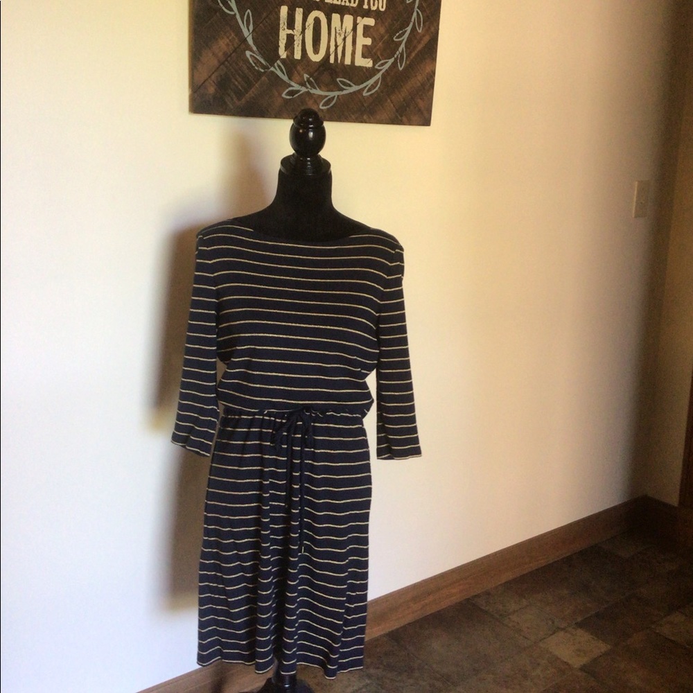 Charter Club M Navy cotton dress
